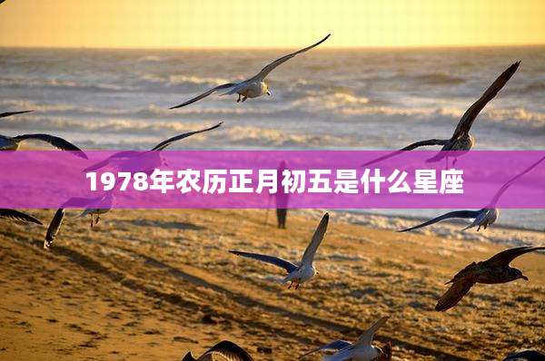 1978年农历正月初五是什么星座