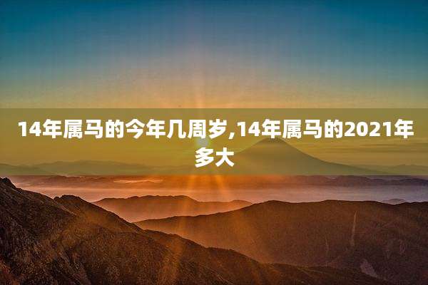 14年属马的今年几周岁,14年属马的2021年多大