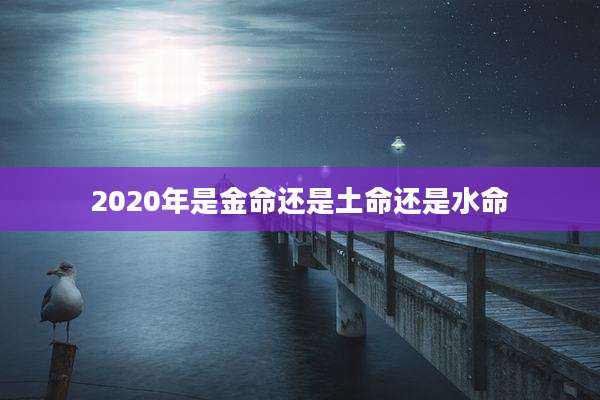 2020年是金命还是土命还是水命