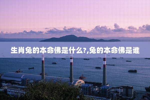 生肖兔的本命佛是什么?,兔的本命佛是谁