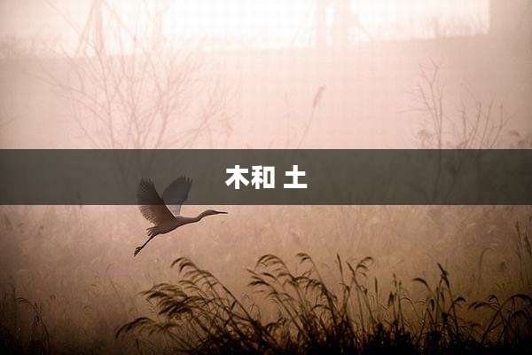 木和 土