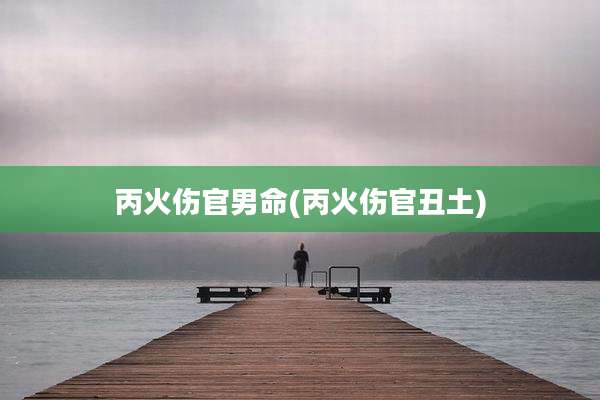 丙火伤官男命(丙火伤官丑土)