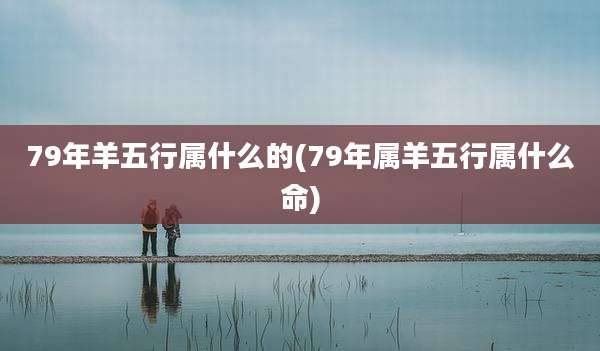 79年羊五行属什么的(79年属羊五行属什么命)