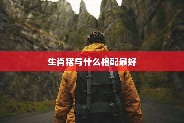 生肖猪与什么相配最好