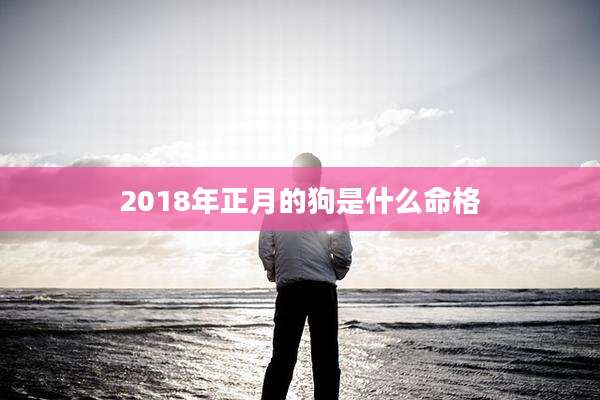 2018年正月的狗是什么命格