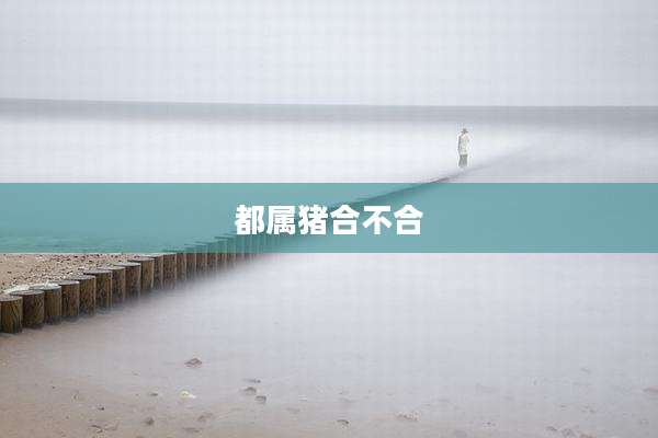 都属猪合不合