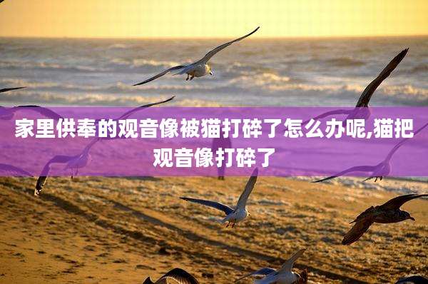 家里供奉的观音像被猫打碎了怎么办呢,猫把观音像打碎了