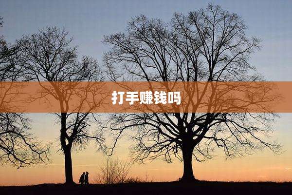 打手赚钱吗