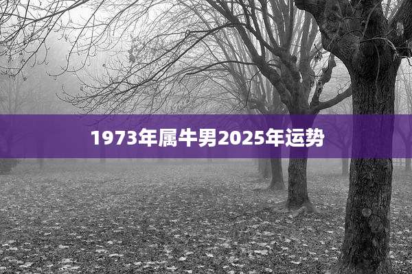 1973年属牛男2025年运势