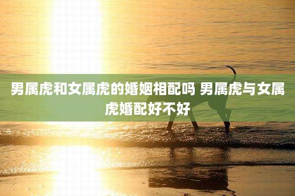 男属虎和女属虎的婚姻相配吗 男属虎与女属虎婚配好不好