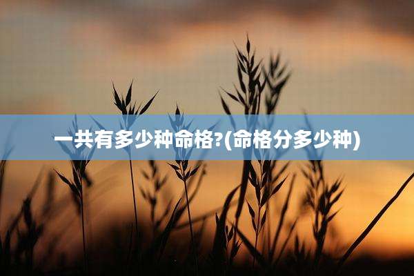 一共有多少种命格?(命格分多少种)