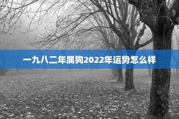 一九八二年属狗2022年运势怎么样
