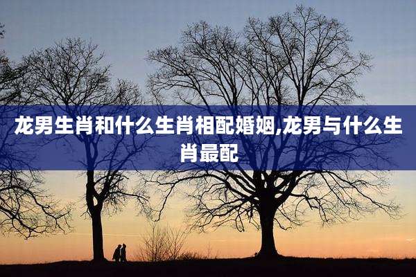 龙男生肖和什么生肖相配婚姻,龙男与什么生肖最配