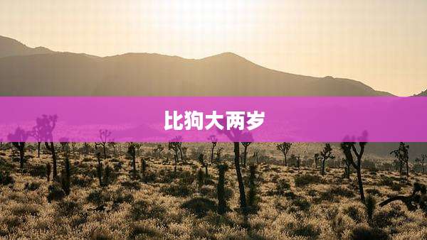 比狗大两岁
