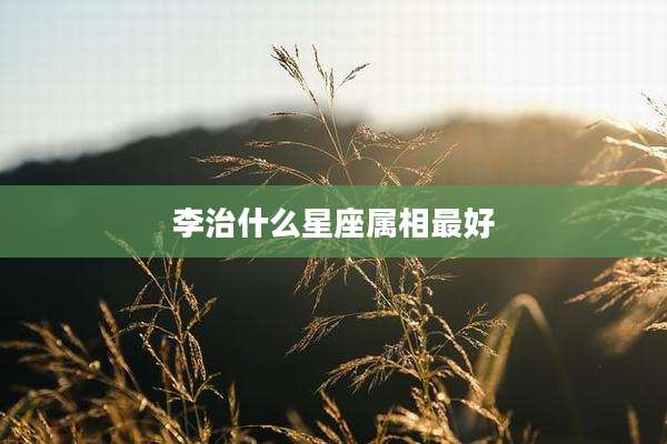 李治什么星座属相最好