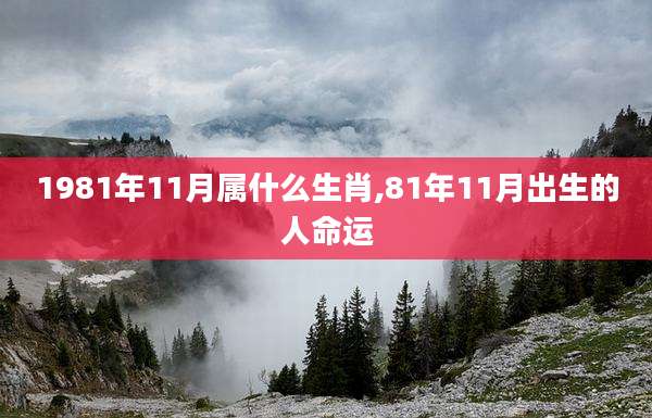 1981年11月属什么生肖,81年11月出生的人命运