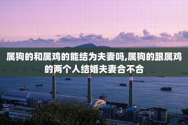 属狗的和属鸡的能结为夫妻吗,属狗的跟属鸡的两个人结婚夫妻合不合