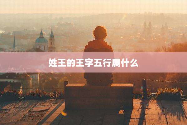 姓王的王字五行属什么
