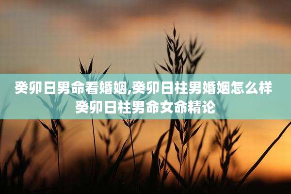 癸卯日男命看婚姻,癸卯日柱男婚姻怎么样 癸卯日柱男命女命精论