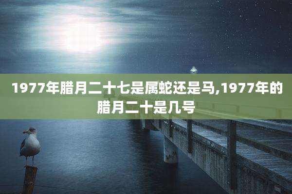 1977年腊月二十七是属蛇还是马,1977年的腊月二十是几号