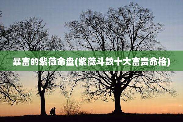 暴富的紫薇命盘(紫薇斗数十大富贵命格)