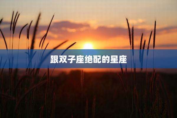 跟双子座绝配的星座