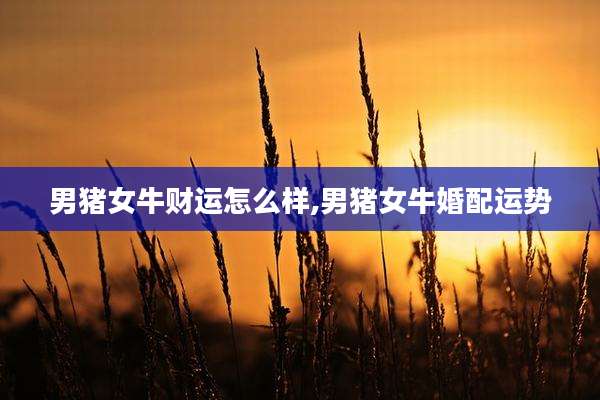男猪女牛财运怎么样,男猪女牛婚配运势