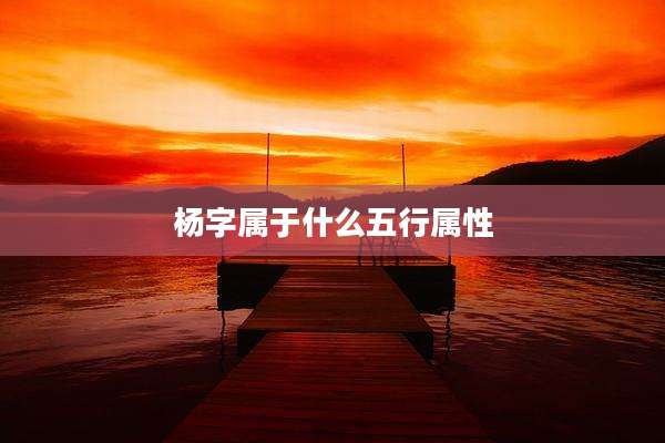 杨字属于什么五行属性