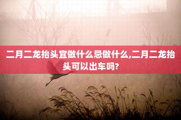 二月二龙抬头宜做什么忌做什么,二月二龙抬头可以出车吗?