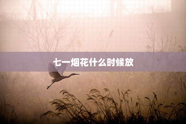 七一烟花什么时候放