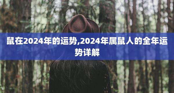 鼠在2024年的运势,2024年属鼠人的全年运势详解