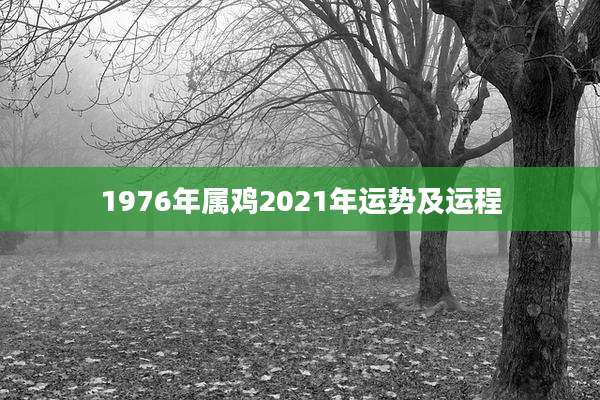 1976年属鸡2021年运势及运程