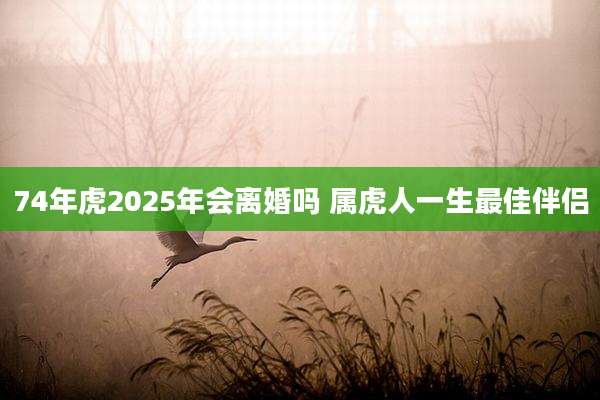 74年虎2025年会离婚吗 属虎人一生最佳伴侣