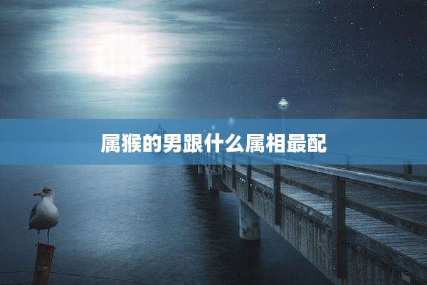 属猴的男跟什么属相最配