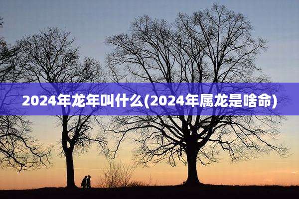 2024年龙年叫什么(2024年属龙是啥命)
