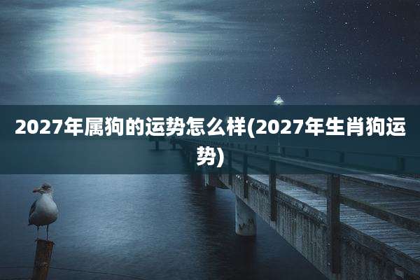 2027年属狗的运势怎么样(2027年生肖狗运势)
