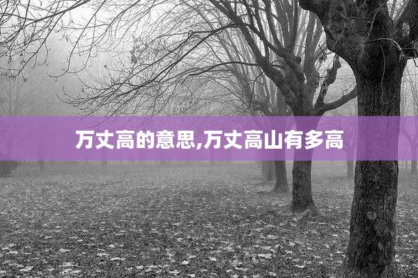 万丈高的意思,万丈高山有多高