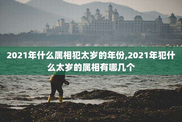 2021年什么属相犯太岁的年份,2021年犯什么太岁的属相有哪几个