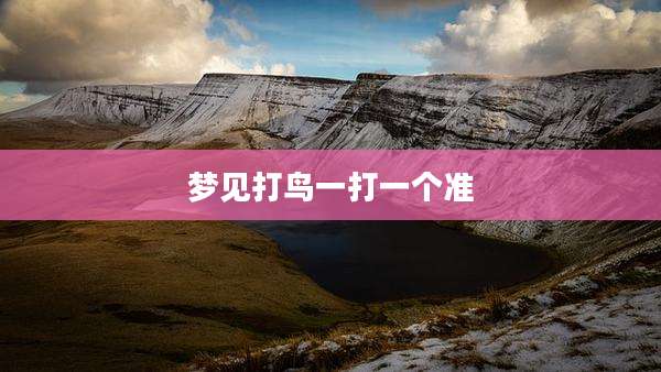 梦见打鸟一打一个准