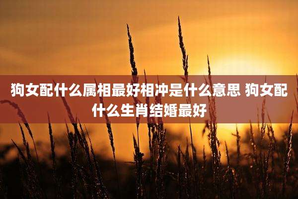 狗女配什么属相最好相冲是什么意思 狗女配什么生肖结婚最好