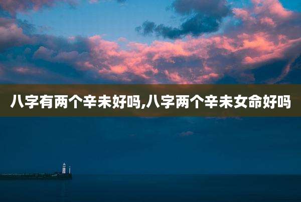 八字有两个辛未好吗,八字两个辛未女命好吗
