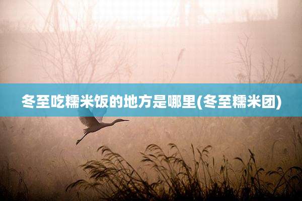 冬至吃糯米饭的地方是哪里(冬至糯米团)