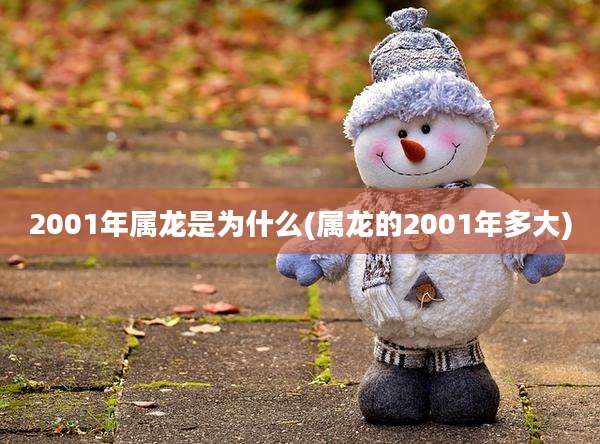 2001年属龙是为什么(属龙的2001年多大)