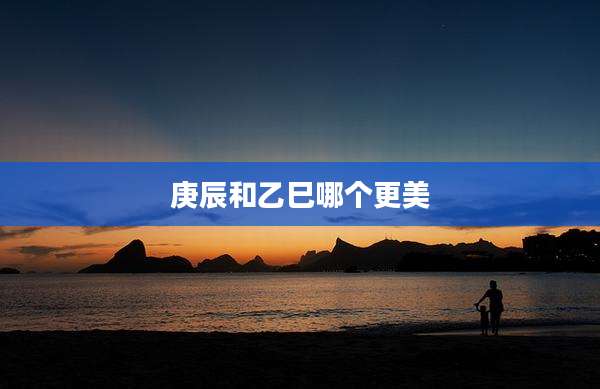 庚辰和乙巳哪个更美