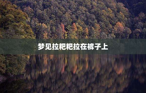 梦见拉粑粑拉在裤子上