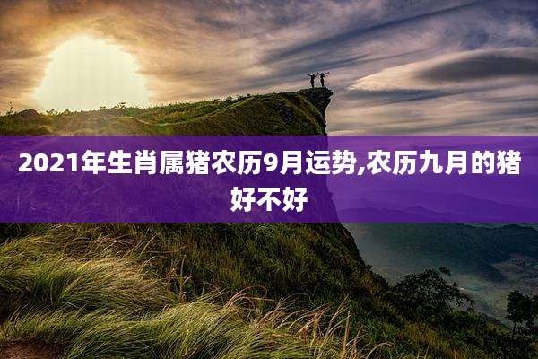 2021年生肖属猪农历9月运势,农历九月的猪好不好
