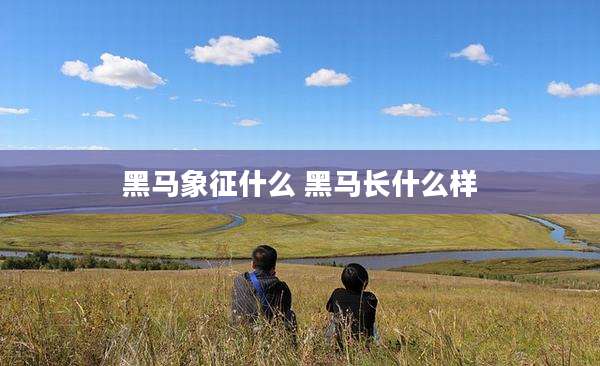 黑马象征什么 黑马长什么样
