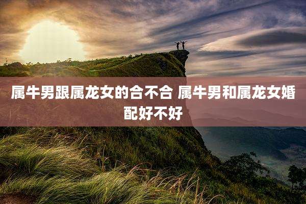 属牛男跟属龙女的合不合 属牛男和属龙女婚配好不好