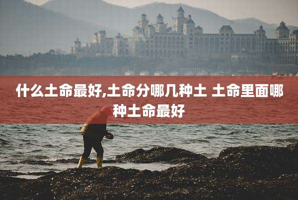 什么土命最好,土命分哪几种土 土命里面哪种土命最好