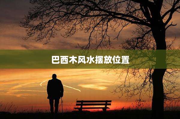 巴西木风水摆放位置